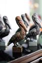 Церемония вручения пеликанов - символа РГПУ
